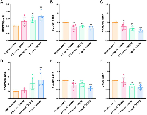 Figure 4 Gene expression of six DEPs, including (A) HMOX1, (B) FZD6, (C) CCND1, (D) AKAP12, (E) TAGLN and (F) TGM2, on real-time qPCR (n=5). Compared with negative-control group: *p<0.05, **p<0.01.