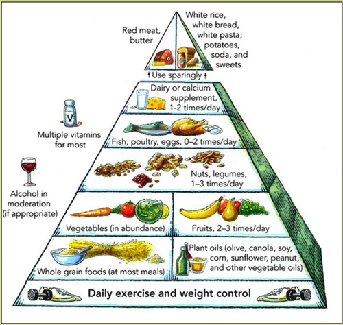 Figure 2 Mediterranean diet pyramid. Reproduced from: https://commons.wikimedia.org/wiki/File:Harvard_food_pyramid.png.