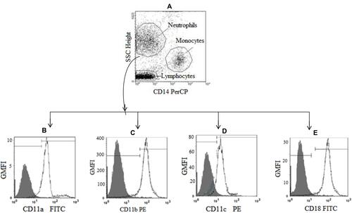 Figure 1 Gating strategy for determining the neutrophil population in a side-scatter/CD14 plot (A), with the neutrophil gate set to exclude monocytes and lymphocytes (A), geometric mean fluorescent intensity (GMFI) values for neutrophil surface markers CD11a (B), CD11b (C), CD11c, (D) and CD18 (E). The gray histograms represent the GMFI of the isotype controls, and the white histogram represents the GMFI of the different surface markers.