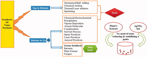 Figure 1. Schematic showing A. various approaches for synthesis of AgNPs. B. One pot green synthesis method for synthesis of AgNPs.