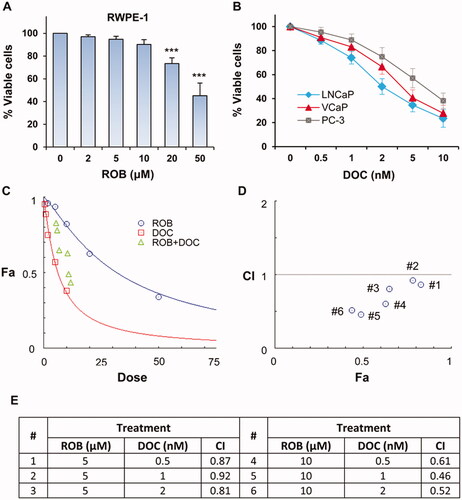 Figure 3. Effect of ROB on RWPE-1 cells, and effects of DOC and ROB on prostate cancer cells. (A) RWPE-1 cells were treated with different concentrations of ROB for 72 h and the cell viabililty was determined by CCK-8 assay. (B) LNCaP, VCaP, and PC-3 cells were treated with different concentrations of DOC for 72 h and the cell viabililty was determined by CCK-8 assay. (C) PC-3 cells were treated with ROB and DOC alone or in combination. Effect of the treatments on cell viability was plotted as fraction affected (Fa). (D, E) Combination index (CI) for different dose ratios of DOC and ROB in combinations. ***Indicates significant differences (p < 0.001) as compared to the control.