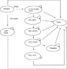 Figure 1 Markov model of screening newborns for severe AAT deficiency.