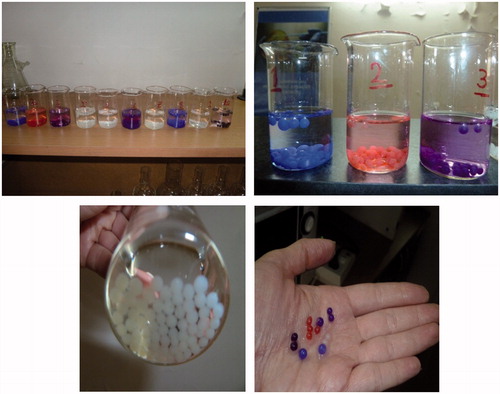 Figure 2. Representative pictures of phages encapsulated within alginate beads and further coated with chitosan or PEI.