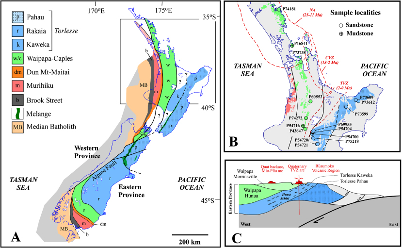 Figure 1 A, Map of New Zealand North and South islands showing distribution of litho-stratigraphic tectonic terranes of the Eastern Province. Data compiled from Coombs et al. (Citation1976), Frost & Coombs (Citation1989), Mortimer et al. (Citation1997), Mortimer et al. (Citation1999), Wandres et al. (Citation2004), Adams et al. (Citation2005), Adams et al. (Citation2009) and Leonard et al. (Citation2010); B, Map of part of North Island showing location of samples described in this paper (see Table 1). TVZ indicates the outline of the Taupo Volcanic Zone (Rowland & Sibson Citation2001). CVZ is the Coromandel Volcanic Zone (Briggs et al. Citation2005) and NA the Northland Arc (Hayward et al. Citation2001); C, Schematic cross-section showing relationship between central North Island composite terranes and the TVZ. The dip inferred for the terrane boundaries in central North Island is based on the occurrence of a metamorphosed Pahau xenolith in a young (28 ka) dacite dome from northeast of Taupo (Charlier et al. Citation2010), which indicates the presence of Pahau at depth to the west of the eastern surface boundary of the Waipapa Terrane.
