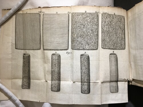 Figure 2. The distinct arterial and venous coats, from Thomas Willis, Pharmaceutice rationalis (Hague, 1677), Table VI, Sect. 1, Cap. 1, Fig. 1 & 2. Courtesy of the Wellcome Library, London.