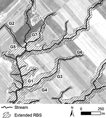 Figure 4. Variable-width extended riparian buffer strips (RBSs) designed using, amongst others, seven guidelines: G1 to G7 (see text for description of these guidelines).