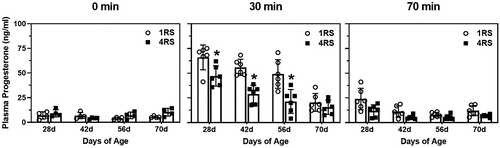 Figure 2. Mean (± SEM) plasma progesterone (ng/ml) in 28d, 42d, 56d, and 70d male rats exposed to a single 30 min session of restraint stress (1RS; open circles) or a single 30 min session of restraint stress on four consecutive days (4RS, closed squares) before (0 min), immediately after termination of a 30 min session of restraint stress (30 min), or 40 min after termination of a 30 min session of restraint stress (70 min). Asterisks indicate that 4RS is significantly less than 1RS at that age. Note that for ease of visualization, significant main effects of age or stress condition are not indicated.
