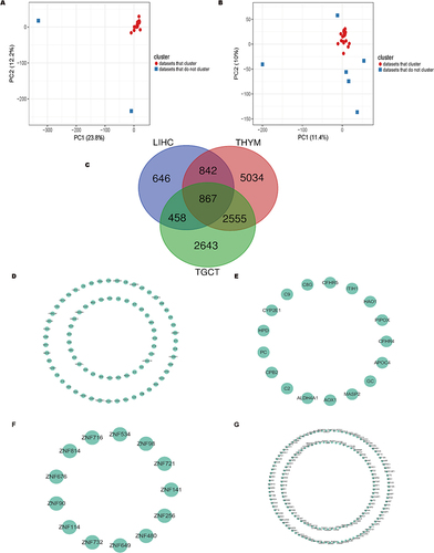 Figure 4 NUSAP1 co-expression patterns in THYM and TGCT are distinct from other tumors. (A) Principal component analysis (PCA) of NUSAP1 co-expression genes in 29 tumor types from TCGA datasets. (B) Principal component analysis (PCA) of NUSAP1 co expression genes in 27 tumor types (THYM and TGCT are excepted) from TCGA datasets. (C) Venn map of the co-expression genes in THYM, LIHC and TGCT. (D–G) Top genes in the most significant module analyzed by MCODE plugin in THYM (D), LIHC (E), TGCT (F) and intersection (G).