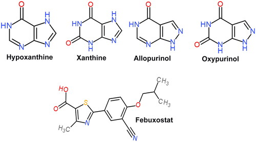 Figure 2. Chemical structures of HPX, XAN, allopurinol, oxypurinol and febuxostat.