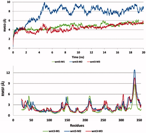 Figure 4. RMSD and RMSF analysis of three Wnt3 protein homology models (Wnt3-M1: Wnt3 homology model with two disulfide bonds; Wnt3-M2: Wnt3 homology model with nine disulfide bonds; Wnt3-M3: Wnt3 homology model with 12 disulfide bonds). Average RMSDs for Wnt3-M1, Wnt3-M2 and Wnt3-M3 are calculated as 4.7 Å, 7.6 Å and 4.3 Å, respectively.