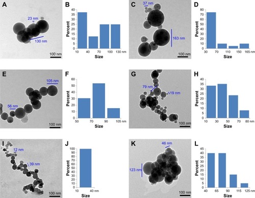 Figure 3 TEM image of DEBIC in ultrapure water and PBS.Notes: TEM image of DEBIC in pH 6.8 ultrapure water (A: 2.5×10−2 μM, C: 2.5×10−3 μM, E: 2.5×10−4 μM); particle size distribution of DEBIC in pH 6.8 ultrapure water (B: 2.5×10−2 μM, D: 2.5×10−3 μM, F: 2.5×10−4 μM); TEM image of 2.5×10−2 μM solution of DEBIC in ultrapure water (G: pH 2.0, I: pH 5.8) and PBS (K: pH 7.4); particle size distribution of 2.5×10−2 μM solution of DEBIC in ultrapure water (H: pH 2.0, J: pH 5.8) and PBS (L: pH 7.4).Abbreviations: DEBIC, dimethyl 2,2′-[2,2′-(ethane-1,1-diyl)bis(1H-indole-3,2-diyl)]diacetate; TEM, transmission electron microscopy.