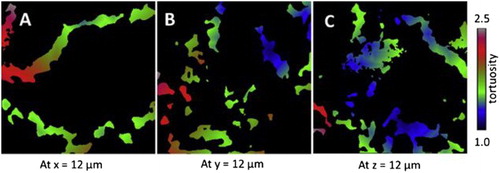 Figure 6. Geometric tortuosity distribution of the pore phase of the LiCoO2 battery cathode of yz (A), xz (B) and xy (C) planes reproduced with permission from Elsevier [Citation114].