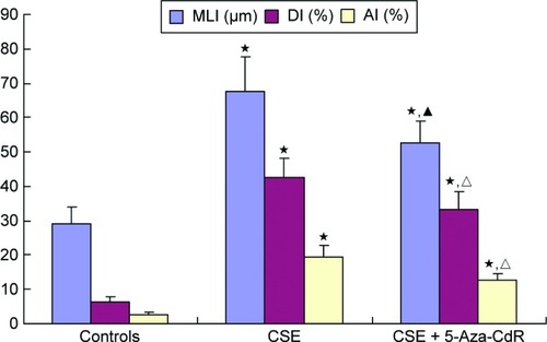 Figure 6 Histomorphological changes in lung tissue.