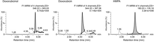 Figure 2 Chromatogram of LLOQ.