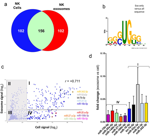 Figure 2. A restricted signature of miRnas is enriched in NK exo. (a) Venn diagram showing the number of miRnas with the highest microarray expression signal (over 90th percentile) belonging to NK cells and/or exosomes set. (b) Enrichment of the conserved exo-motif GGCUG revealed by motif-based sequence analysis of MEME suite toolCitation24. Sequences of miRnas highly expressed in exosomes only were compared to all miRNA sequences highly expressed in cells and exosomes. (c) Scatter plot of the log2-transformed expression signal for all the mature miRnas analyzed. Each dot represents a miRNA included in the microarray chip. X-axis reported expression in NK cells, Y-axis expression in NK-exo. The vertical axis delimitates 90th percentile of signals in NK cells, the horizontal axis delimitates 90th percentile of signals in NK-exo. Roman numerals (I-IV) identify four quadrants. We excluded from further analysis miRnas in quadrants II and III (gray zone). MiRNAs analyzed by real time PCR are indicated. (d) Real time PCR for the indicated miRnas in the same samples used for the microarray. Values are expressed as fold changes in exosome (n = 7) as compared to cell (n = 7). For each sample, the same amount of RNA was used for RT-PCR and Uni-SP6 spike-in was used as reference to normalize data. Brackets indicate miRnas belonging to quadrant I or IV. Error bars indicate SEM.