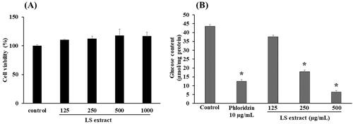 Figure 2. Effect of the LS extract on cell viability (A) and glucose uptake (B) in Caco-2 cells. Data are expressed as mean ± SD (n = 3). *Significant difference compared to control (p < 0.05).