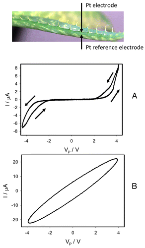 Figure 1. Relationships between a voltage, current, charge, and flux.