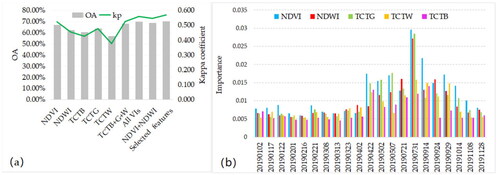 Figure 10. Results of (a) classification using different input features, and selected features refer to VIs derived from the growing season; (b) the importance of VIs derived from different dates.