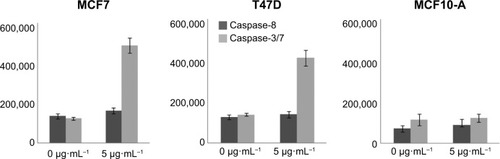 Figure 4 Caspase-8 and caspase-3/7 activities were assigned by chemiluminescent assay following 12 hours’ incubation with 0, and 5 μg⋅mL−1 Ag NP concentrations.Abbreviation: Ag NPs, silver nanoparticles.