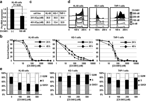 Figure 1. CX5461 suppressed the growth of acute leukemia cell lines.