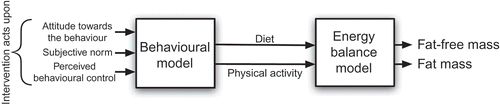 Figure 1. General diagram of the dynamical model for body mass and composition change.