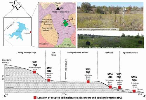 Figure 1. Location of the study site within the Clear Fork Watershed east of Lake Benbrook, TX. The hillslope transect (A to A’) and the soil moisture grid (SMG) are shown within the hillslope hollow, along with the basin soils. The profile along the transect (bottom) is adapted from Llado and Slattery (Citation2015). Red squares indicate location of coupled soil moisture (SM) and equitensiometer (EQ) probes.