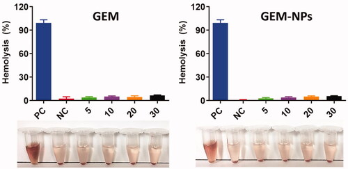 Figure 8. Hemolysis assay with different concentration of GEM and GEM-NPs. The result of hemolysis assay reveals that the insignificant hemolysis shows that it is extremely biocompatible for in vivo profiles.