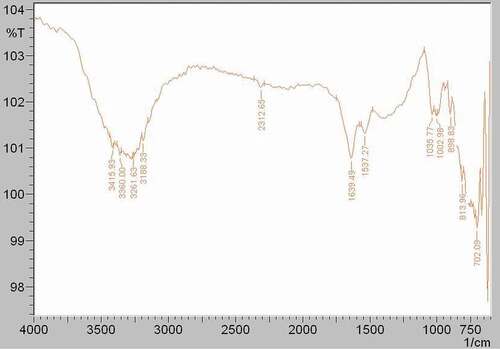 Figure 4. FTIR spectrum of the M2e-specific IgY antibody.