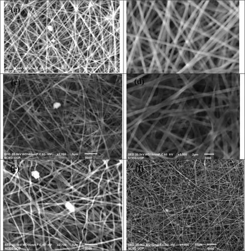 Figure 4. SEM images of fabricated nanofibers. (a–b) nanofibers without plant extract; (c–d) nanofibers containing 0.2 g of plant extract; (e–f) nanofibers containing 0.4 g of plant extract.