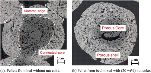 Figure 5. Sample quenched from 1300oC.