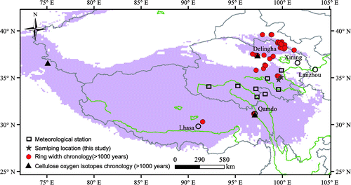 Fig. 1. Map of the study area. Red spots and black triangles indicate ring width and cellulose oxygen isotope data (>1000 yr), respectively. Stars and rectangles indicate sampling locations and meteorological stations, respectively.