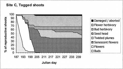 FIGURE 4. Phenological stages of tagged Dryas shoots at site C in 1999
