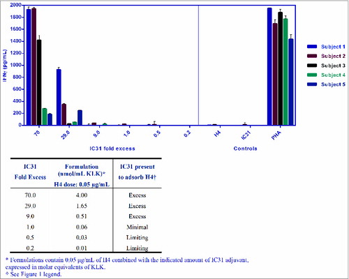 Figure 3. hWBA confirms the importance of excess IC31 for the optimal modulation of H4 response. ELISA analysis of IFNγ responses measured in supernatants of hWB cultures 10 d post-treatment with H4-IC31 formulations containing a constant dose of H4 and various doses of IC31 (n = 5). Formulations were prepared by mixing H4 (5 µg/mL) with serial dilutions of IC31 in a 1:4 volumetric ratio on a rotator. This was followed by a 10-fold dilution of formulations in serum-free medium. Upon preparation, formulations were immediately added in 6 replicates on 96-well, U-bottom plates (100 µL/well). hWB (10-fold diluted) was mixed freshly with the formulations on the plates (within 24 hours of plating the formulations), resulting in an additional 2-fold dilution of the blood and formulations. The cultures were harvested and replenished on D6 with serum-free medium. 'Limiting dose' where adjuvant amount was 0.5 and 0.2-fold below 100% H4 adsorption; 'minimal dose' consisting of minimum amount of adjuvant required for 100% H4 adsorption; and 'excess dose' consisting of IC31 in 9-, 29-, and 70-fold higher than required for 100% H4 adsorption. Controls: H4 (0.05 µg/mL), IC31 (4 nmol/mL), Phytohemagglutinin (PHA, 5 µg/mL).