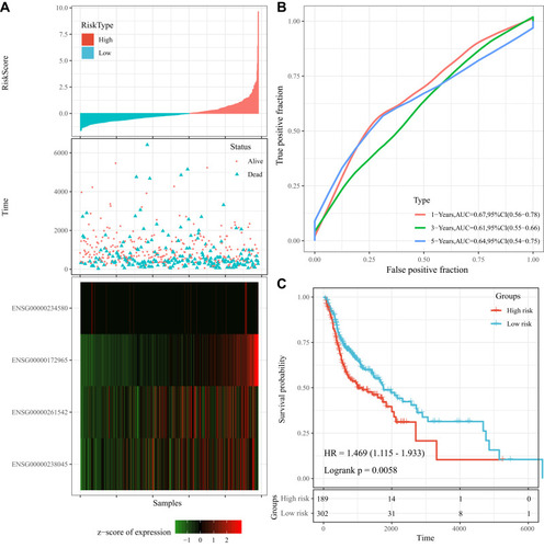 Figure 9 (A) Risk score, survival time and survival status, and expression of the four lncRNAs in all data sets; (B) ROC curve and AUC of the 4-lncRNA signature classification; (C) KM survival curve distribution of the 4-lncRNA signature in all data sets.