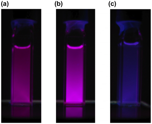 Figure 12. Photographs of the solutions of 29 under 365 nm UV light: (a) hexane; (b) THF; (c) acetone.