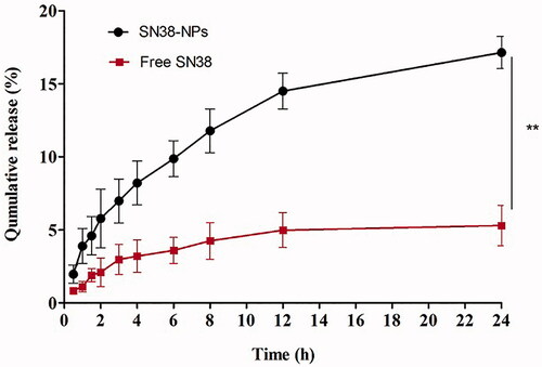 Figure 7. The release profile of SN38 from SN38-NPs and free SN38 from rat intestinal in medium (pH 7.4) as a function of time (mean ± SD; n = 3, **p ≤ .01).