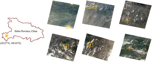 Figure 19. GF-1 images covering a same region.