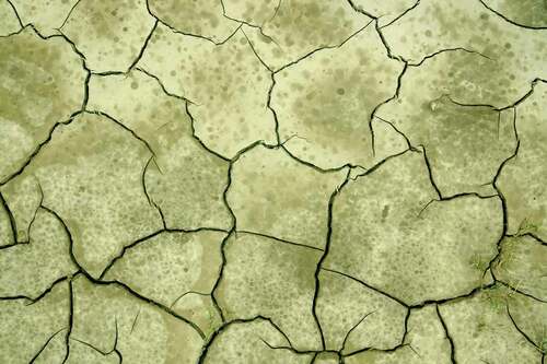 Figure 1. Cracked clay is an image often used to depict desertification. This is usually soil which cracks after having been flooded. Clay is often found in the lower parts of the landscape in the Sahel. These areas are flooded in the rainy season before they dry up in the dry season. When searching Google Images for ‘image desertification’, various similar photos of cracked clay are offered. Especially around the annual World Day to Combat Desertification (17th June), such images accompany articles on desertification published on websites and in printed media on a global scale