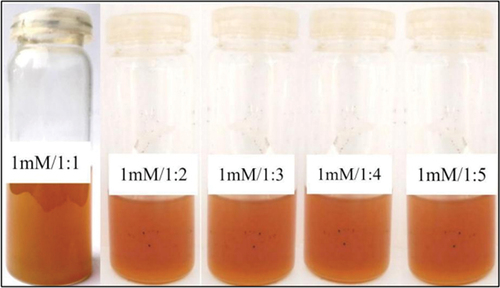 Plate 8. Reaction mixtures with 1mM reagent concentration and five different extract volumes after placing them for incubation at 60°C for 4h.