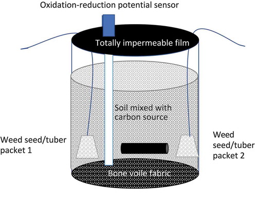 Figure 1. Bioreactor used in anaerobic soil disinfestation trial.