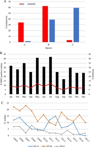 Figure 1. Isolation of non-polio enterovirus and seasonal distribution from AFP cases in Brazil from 2005 to 2017. (A) Relative isolation from RD (red bars) or Hep2c (blue bars) cells. (B) Proportion of NPEV detection based on cell culture isolation and monthly distribution. (C) Annual distribution of NPEV isolates, according to EV species.