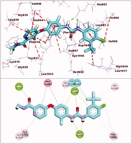 Figure 6. Interaction of sorafenib with VEGFR-2.