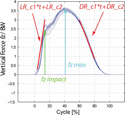 Figure 2. Nine stance phases of a participant. The kinetic parameters were defined as the force loading and decay rates, LR_c1 and DR_c1, respectively, and the maximal vertical force, fz max dec (Stüssi, Citation1977; Stüssi et al., Citation1978).