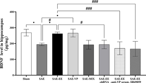 Figure 7 The hippocampal BDNF level in the SAE group was lower than that in the sham or SAE-EE group. The hippocampal BDNF level in the SAE-VP group was higher than that in the SAE group. No difference existed between the SAE group and SAE-MIX group. The hippocampal BDNF level in the SAE-EE group was higher than that in the SAE-EE-anti-VP serum, SAE-EE-shRNA, or SAE-EE-SR49059 groups. vs SAE: *p < 0.05, vs SAE: #p < 0.05, ###p <0.001. Data represent the means ± standard error of the mean.