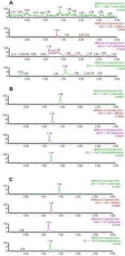 Figure 2 The representative chromatograms of CEL, DEZ, DEX and IS in positive ion mode. (A) a blank plasma sample; (B) a blank plasma sample spiked with 250 ng/mL CEL, 25 ng/mL DEZ, 2.5 ng/mL DEX and 100 ng/mL IS; (C) a beagle plasma sample 1.5 h after administration.