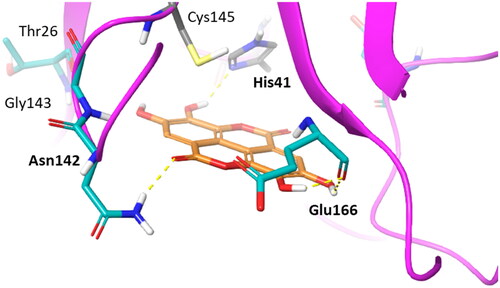 Figure 8. Binding mode (orange carbon sticks; top-scored solution) of ellagic acid (7) as resulting from the docking study. Catalytic site residues involved in hydrogen bond and π-stacking interactions (Table 3) with 7 are bold labelled. Hydrogen bonds are shown as yellow dashed lines.