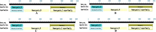 Figure 2. The putative conserved domain of the LmiHx protein in L. migratoria: LmiHx1(A); LmiHx2 (B); LmiHx4 (C); LmiHx5 (D).