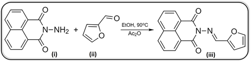 Scheme 1 Synthesis of TA compound, where (i) represents N-aminonaphthalimide, (ii) represents Furan-2-carboxaldehyde, (iii) represents TA, EtOH is absolute ethyl alcohol and Ac2O is acetic anhydride.