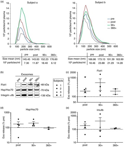 Fig. 3.  Effect of running exercise on plasma small EVs. Plasma samples were taken pre, post, 90 post (90+) and 360 post (360+) treadmill exercise. Pellets of 100,000×g were analyzed for particle size and concentration by NTA [(a) subjects a and b] and for protein composition by Western blotting [(b) subjects 1–4]. Signal intensities of Flot1 (c), Hsp/Hsc70 (d) and IntαIIb (e) were quantified (pre/post/90+: n=4, 360+: n=2, p<0.05, Student's t-test).