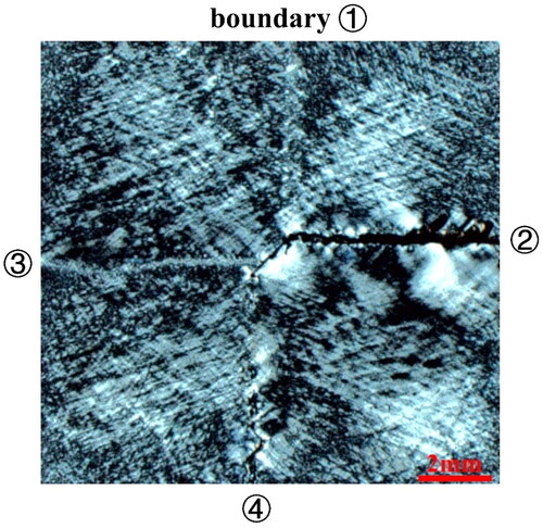 Figure 2. The PLM image of the cross-region of the mosaic sample with four boundaries.